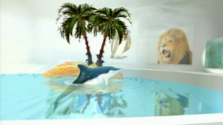 Scene 5