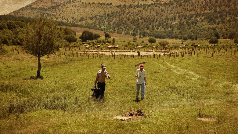 Scene 5