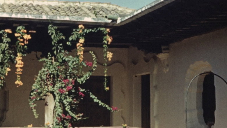 Scene 2