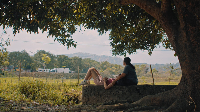 Scene 3