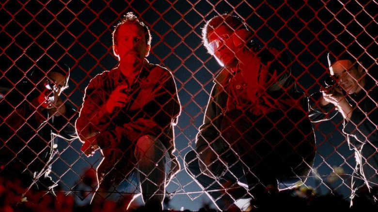 Scene 5