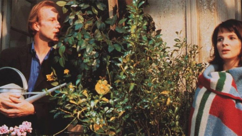 Scene 3