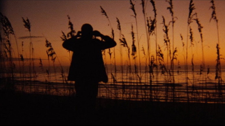 Scene 3