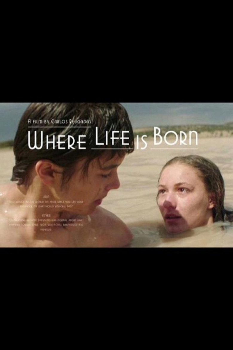 Poster 5