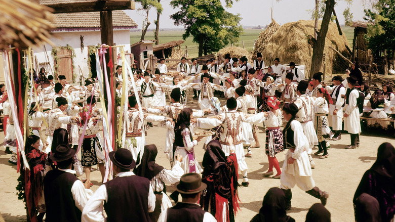 Scene 4
