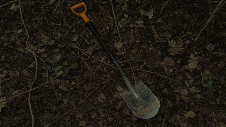 Scene 5