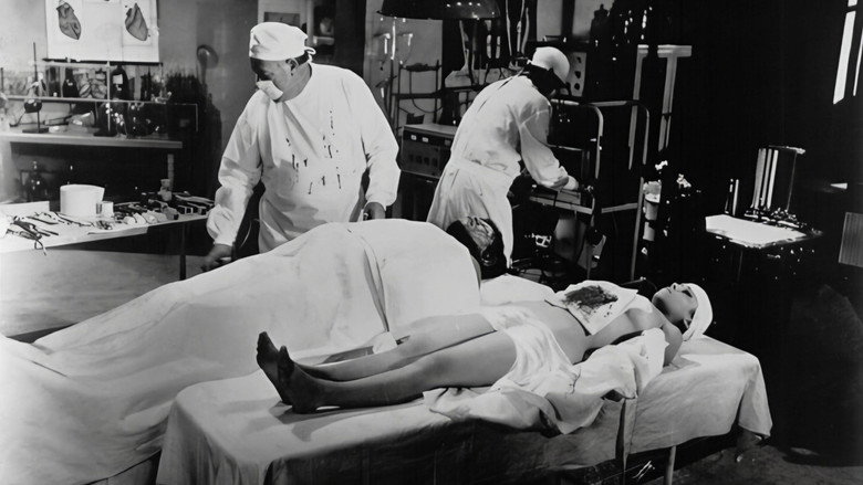 Scene 3