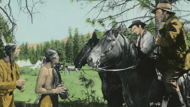 Scene 3