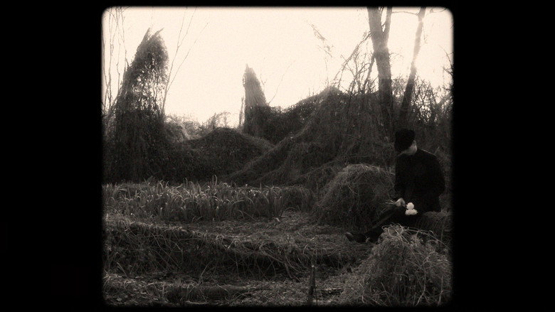 Scene 2