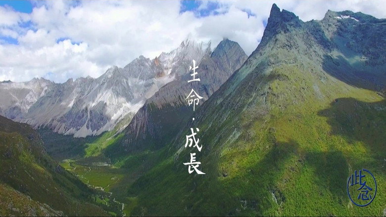 Scene 2