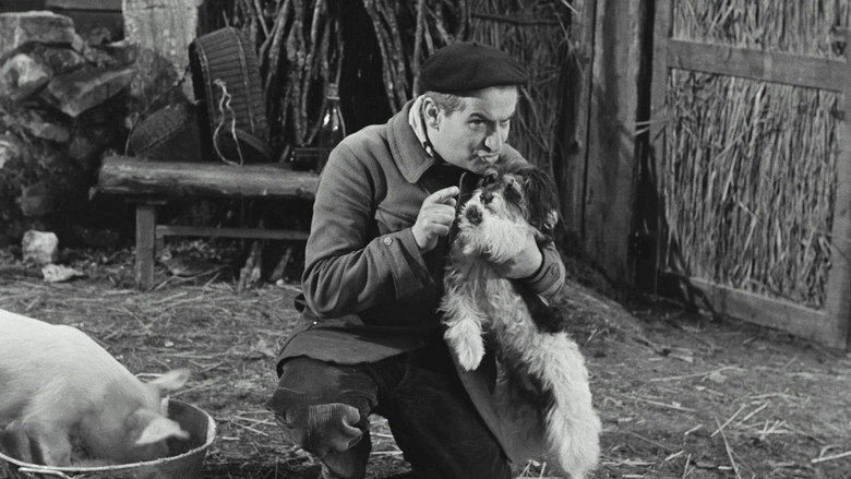 Scene 3