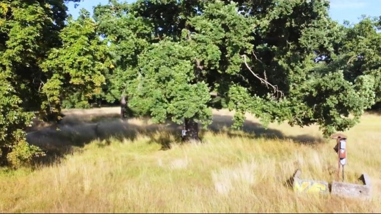 Scene 2
