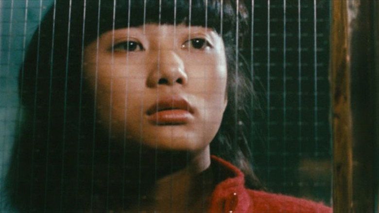 Scene 3