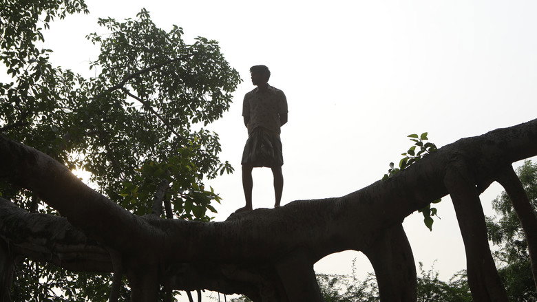 Scene 3