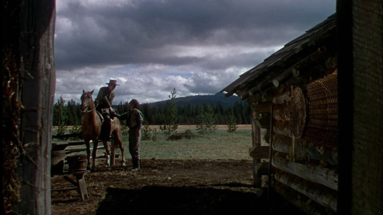 Scene 2
