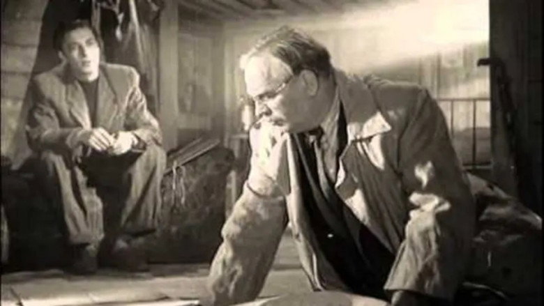 Scene 5