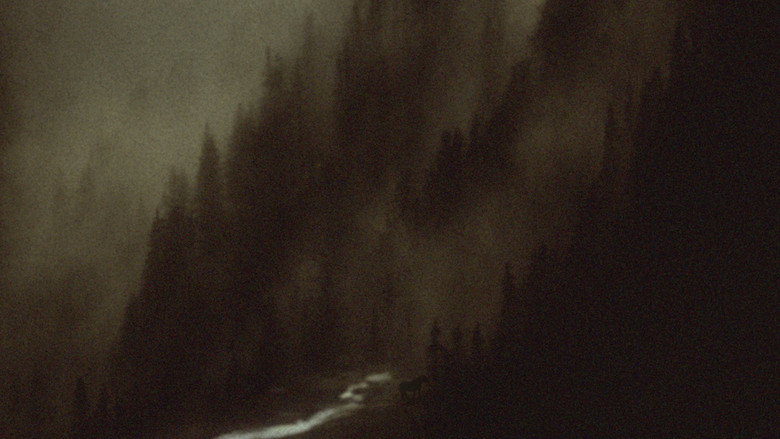Scene 3