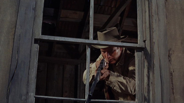 Scene 5