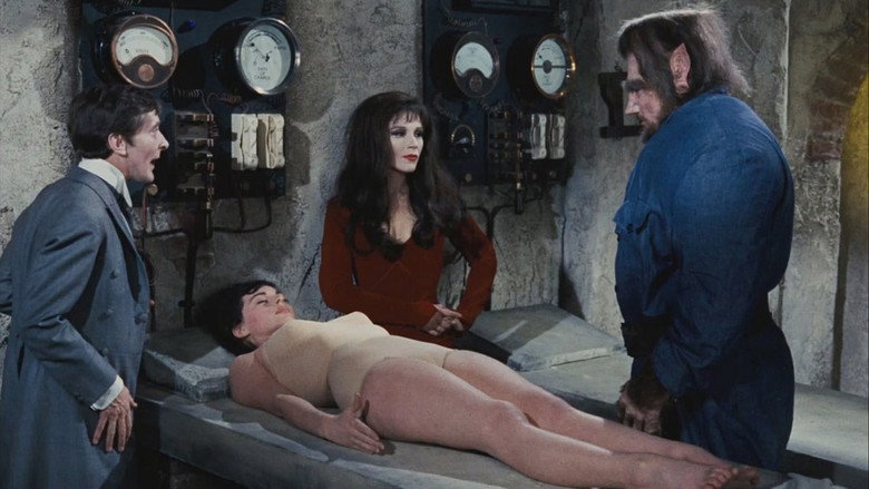 Scene 3