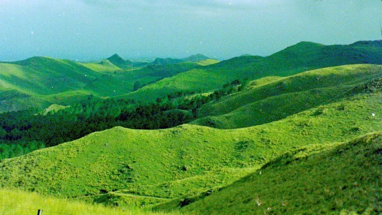 Scene 2