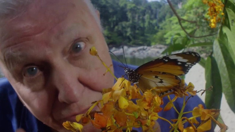 David Attenborough's Conquest of the Skies