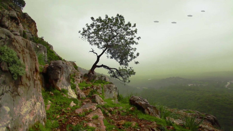 Scene 3
