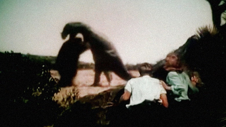 Scene 3