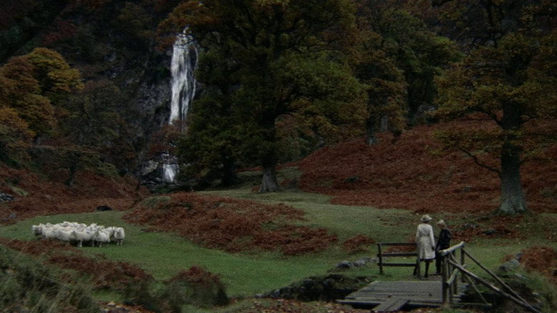 Scene 4