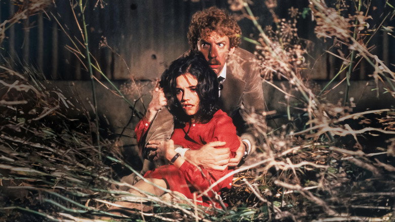 Scene 5