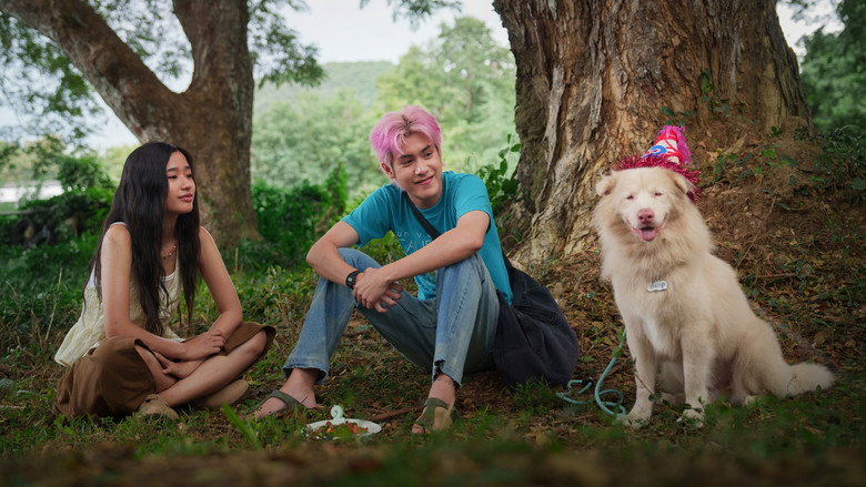 Scene 4