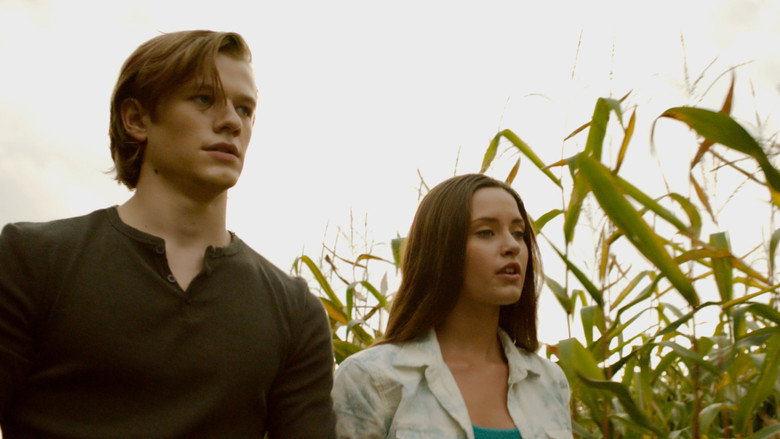 Scene 5