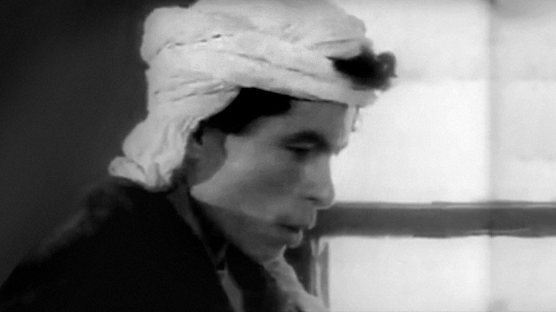 Scene 3