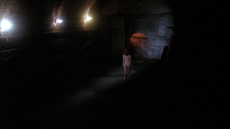 Scene 5