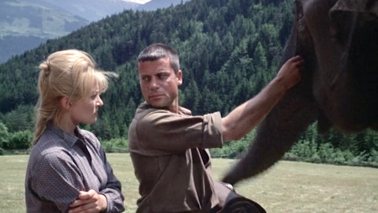 Scene 5