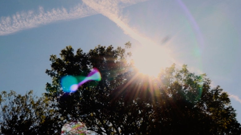 Scene 4