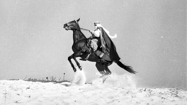 O Sheik de Agadir backdrop