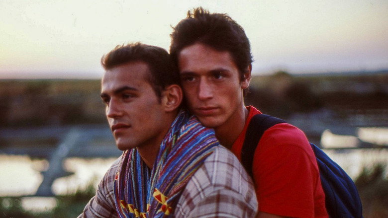 view all