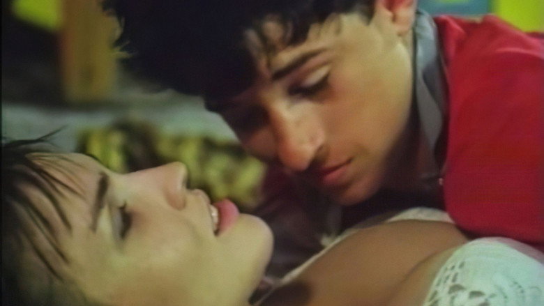 Scene 3