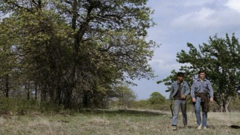 Scene 5