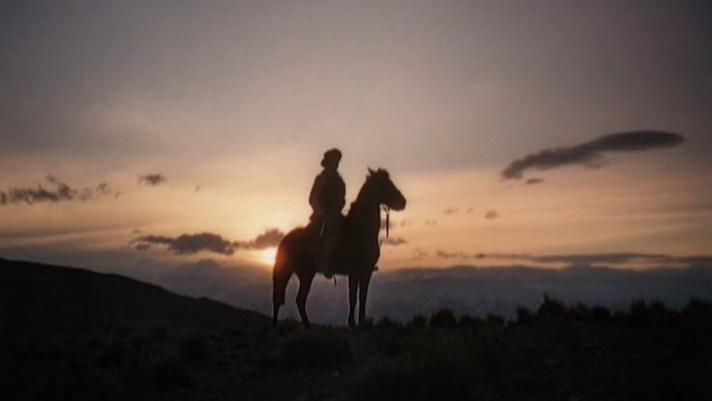 Scene 5