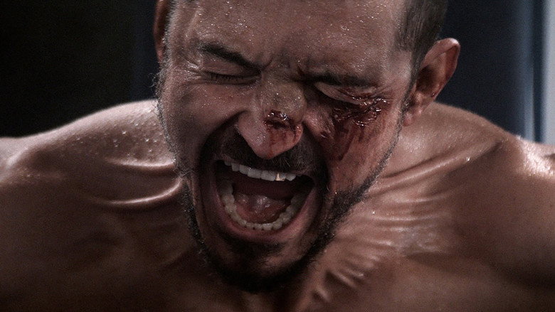 Scene 5