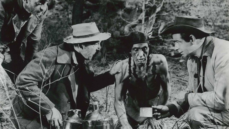 Scene 4