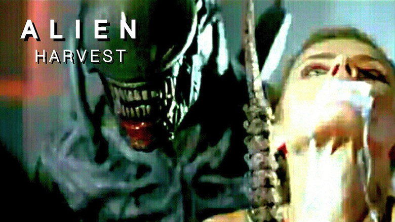 Scene 3