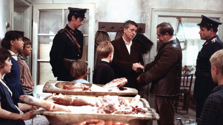 Scene 5