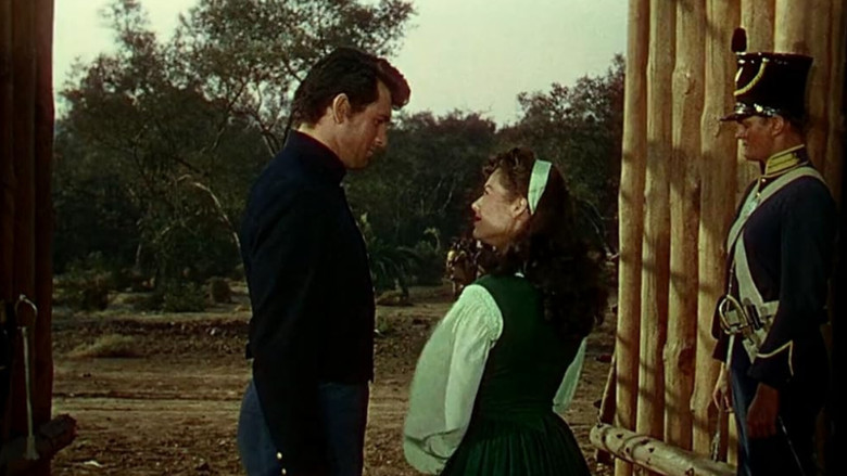 Scene 5