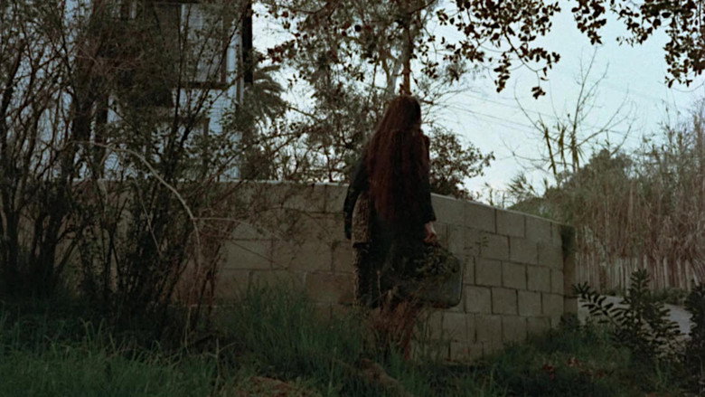 Scene 3
