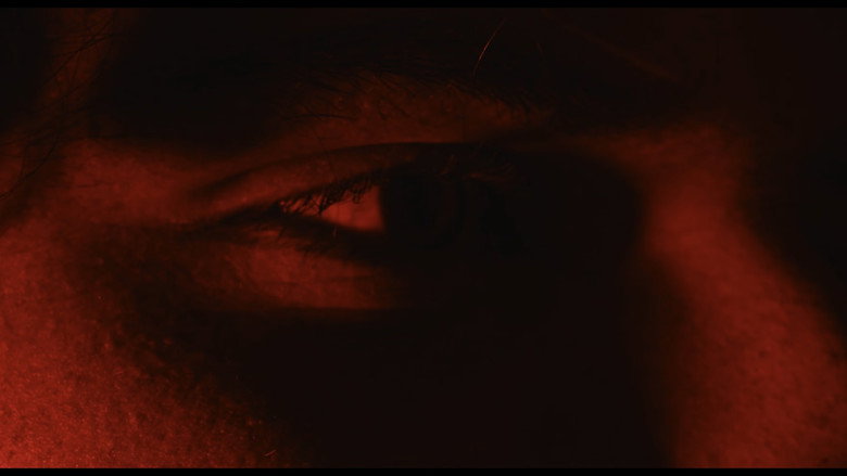 Scene 5