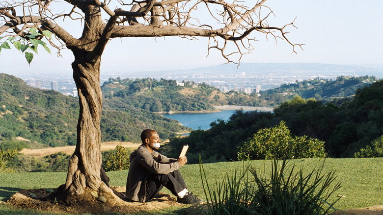view all