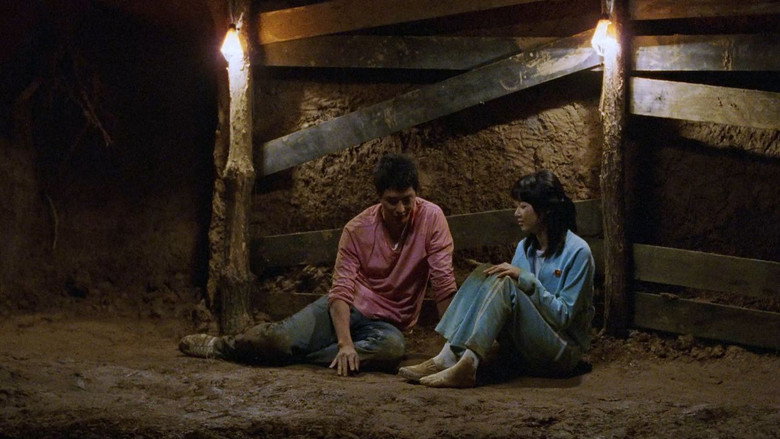 Scene 3