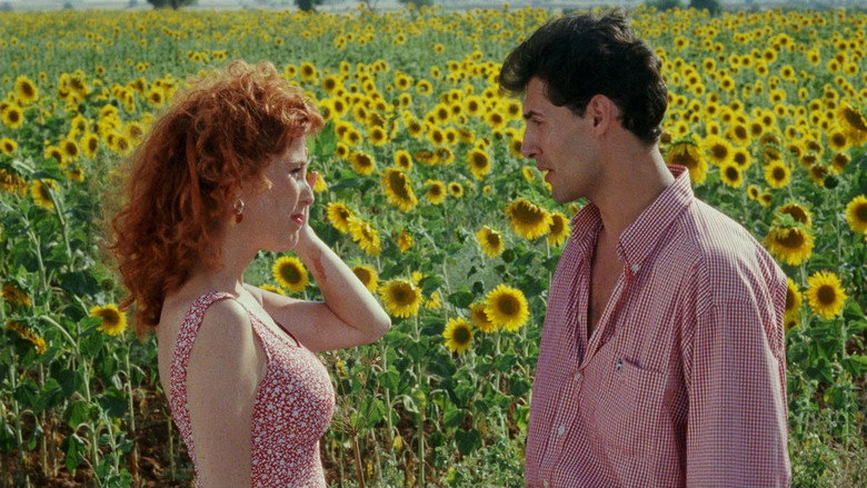 Scene 4